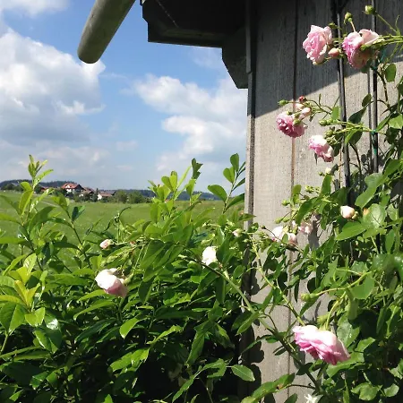 Am Hoernle Pfronten