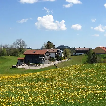 Daire Am Hoernle *